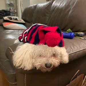 Meet your Posher, Maggie